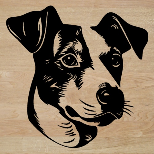 Jack Russell - hlava - samolepka z fólie
