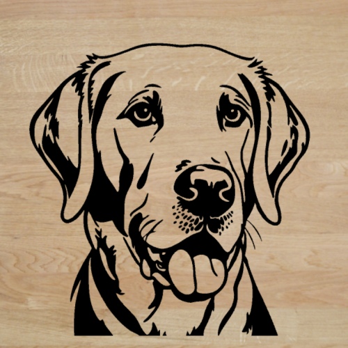 Labrador - hlava - samolepka z fólie
