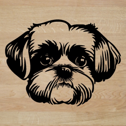 Shih Tzu - hlava - samolepka z fólie