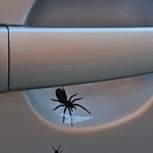 Pavouk-z boku (2ks) - samolepka z fólie