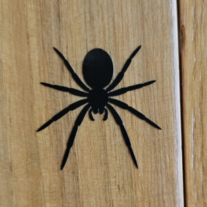 Pavouk-shora (2ks) - samolepka z fólie